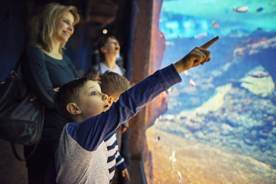 North Carolina Aquarium