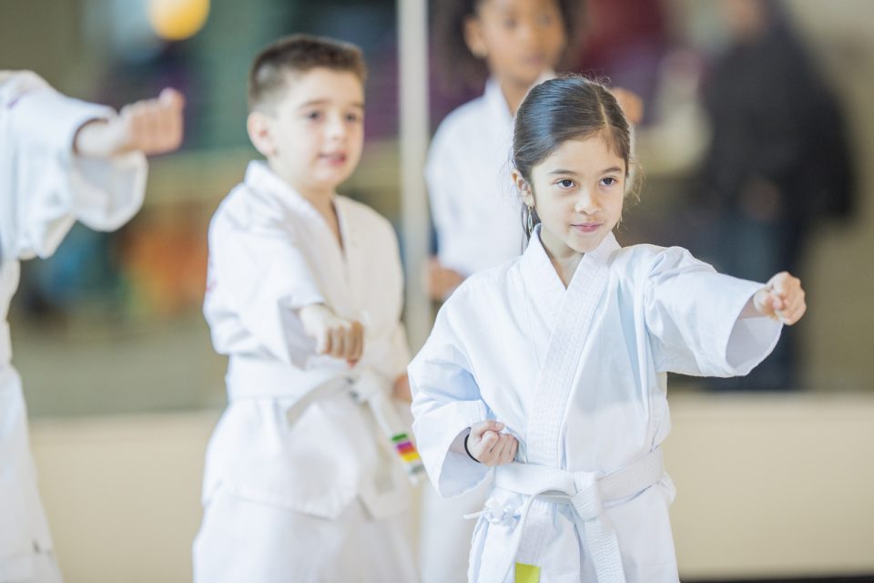 Goldsboro Okinawa Karatedo