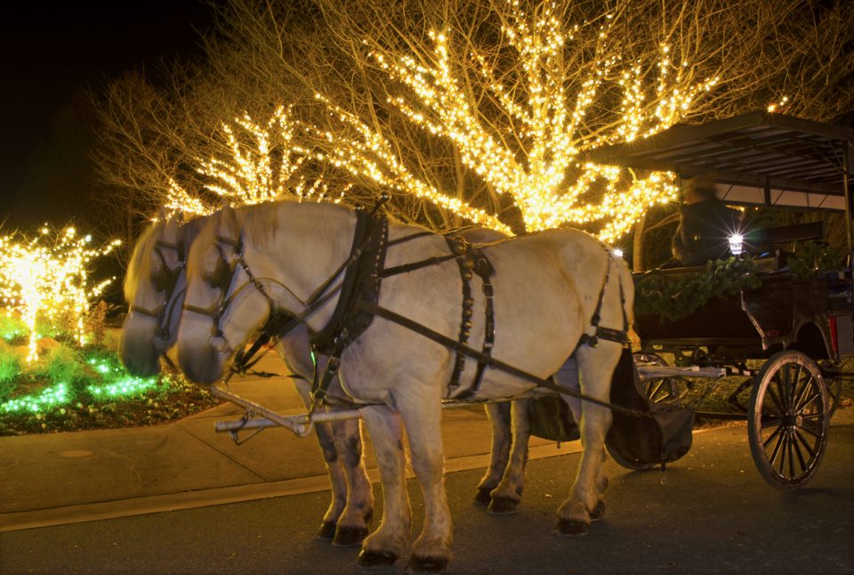 holiday trolley ride