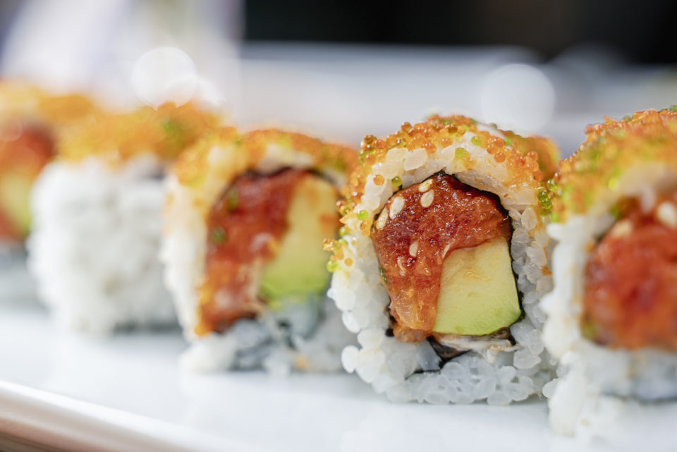 Sushi Salmon roll