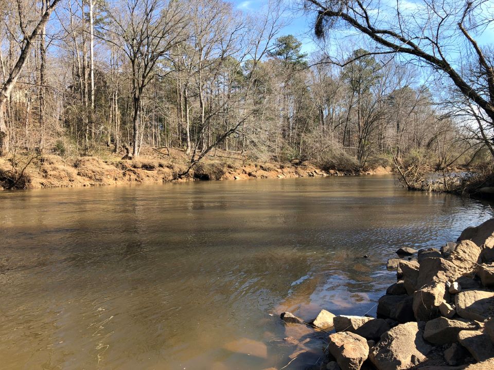 A shot of the Neuse river. 