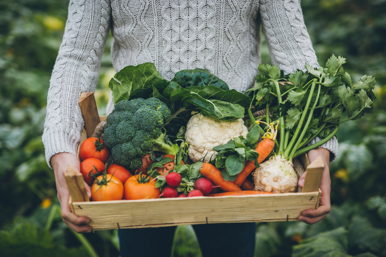 Young farmer with crate full of vegetables