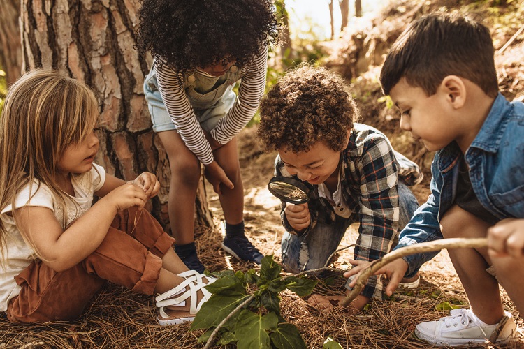 Kids in a forest with a magnifying glass looking at leaves together